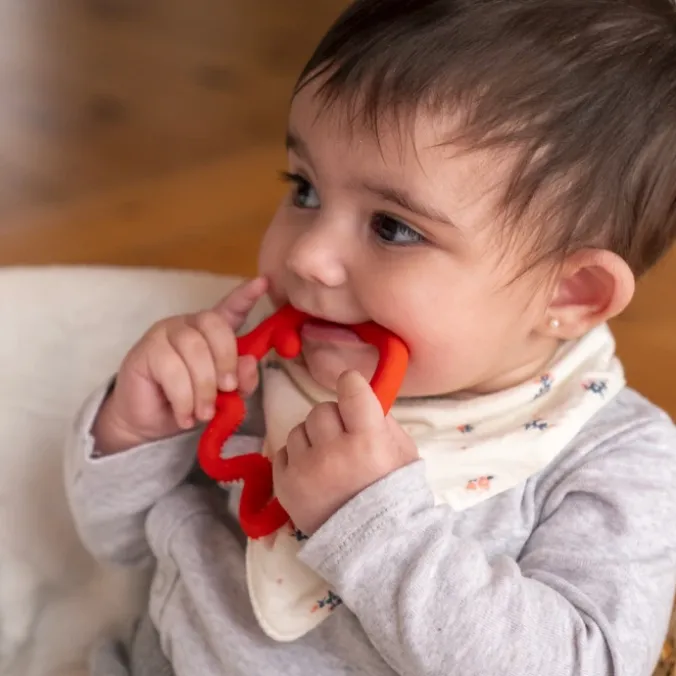 Anneau de dentition pieuvre rouge