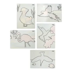 Aquapaint oiseaux magnifiques