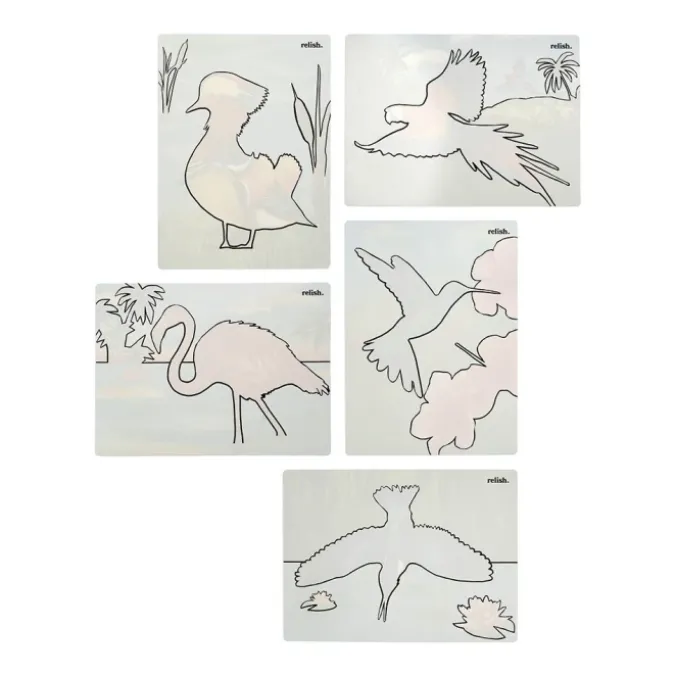 Aquapaint oiseaux magnifiques