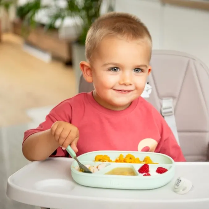 Assiette ventouse à compartiments