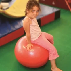Ballon Bodyball - 55 cm