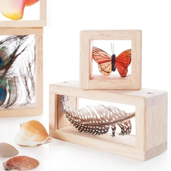 Blocs à trésors transparents