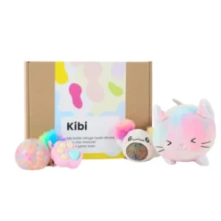 Boîte d'autorégulation Kibi