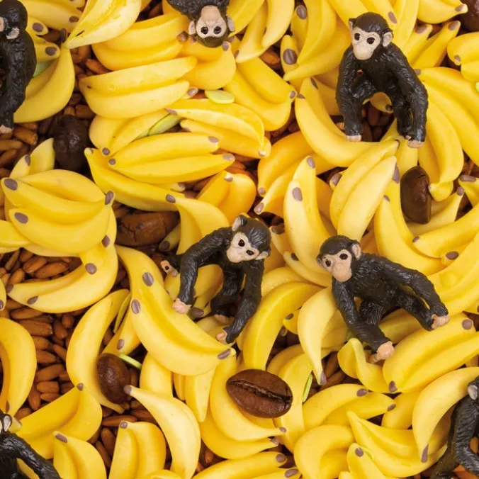 Bouteille bruit sensoriel - Singe