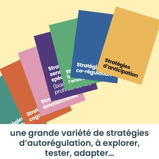 Cartes Stratégies d'autorégulation