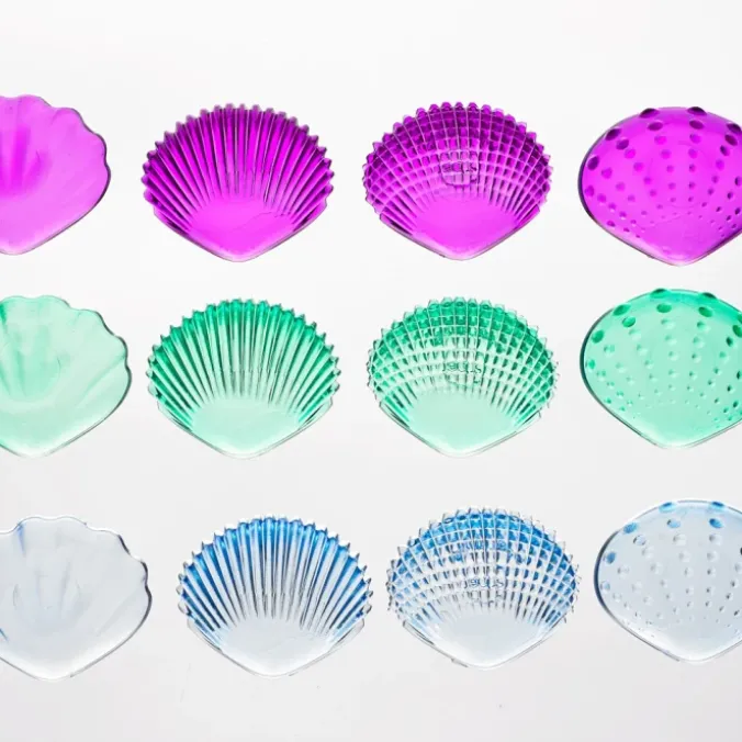 Coquillages multicolores tactiles par 108