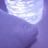 Coussin sensoriel lumineux