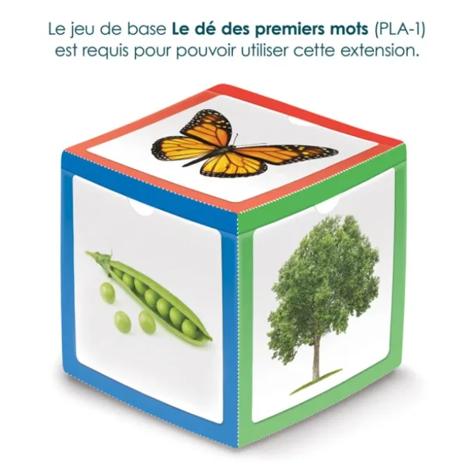 Dé des premiers mois