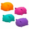 Fidget cool cats