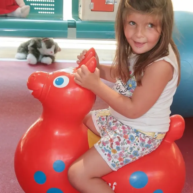 Grand rody cheval sauteur