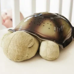 La veilleuse tortue