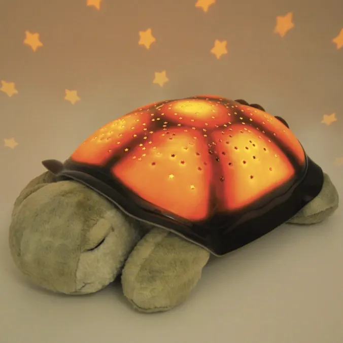 La veilleuse tortue