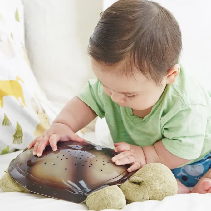 La veilleuse tortue
