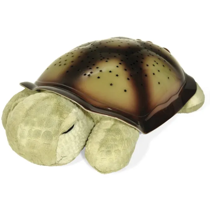 La veilleuse tortue