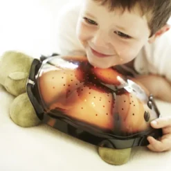 La veilleuse tortue