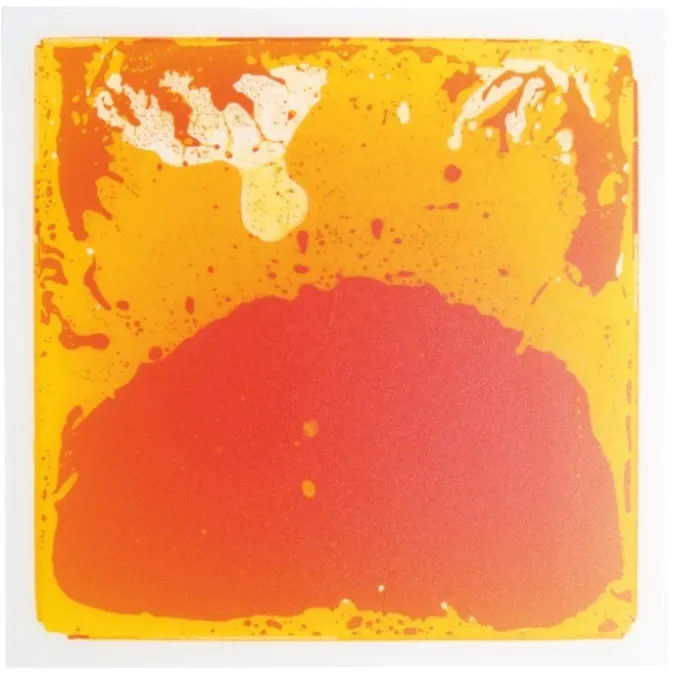 Les plaques sensori-motrices - orange/rouge