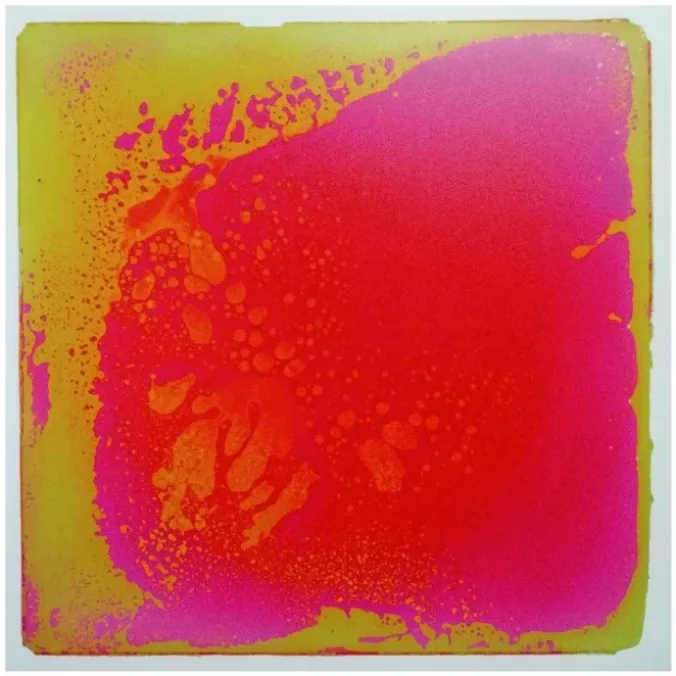 Les plaques sensori-motrices - Rose
