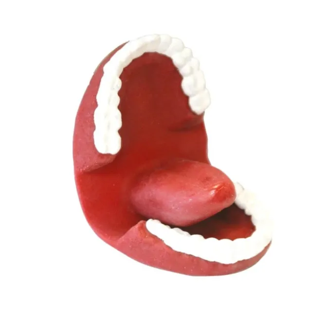 Marionnette bavarde