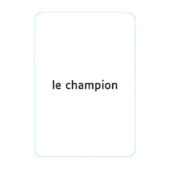 Morphosyntaxe : Flexions nominales en genre