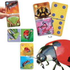 Natu'domino les insectes