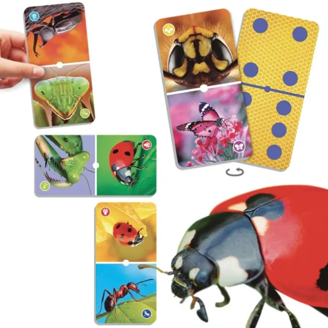 Natu'domino les insectes
