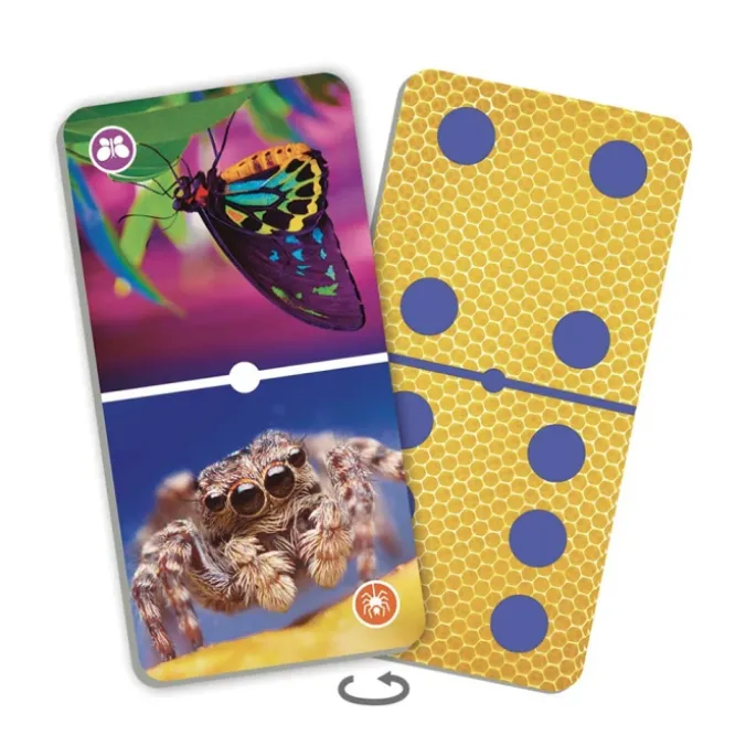 Natu'domino les insectes