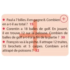 Numé cat's les énigmes mathématiques