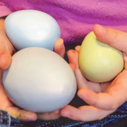 Oeufs sensoriels par 8