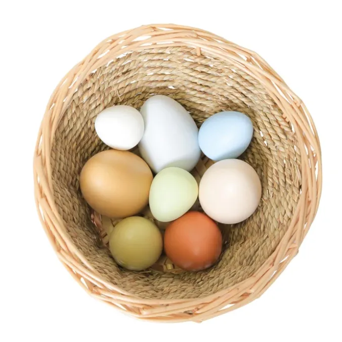 Oeufs sensoriels par 8