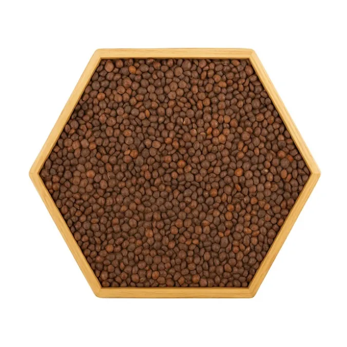 Panneau sensoriel hexagonal - lentilles