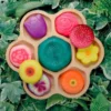 Pierres fleurs sensorielles x 8