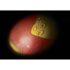 Projecteur de l'espace