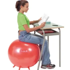 Sit'n'Gym - 55 cm - Rouge