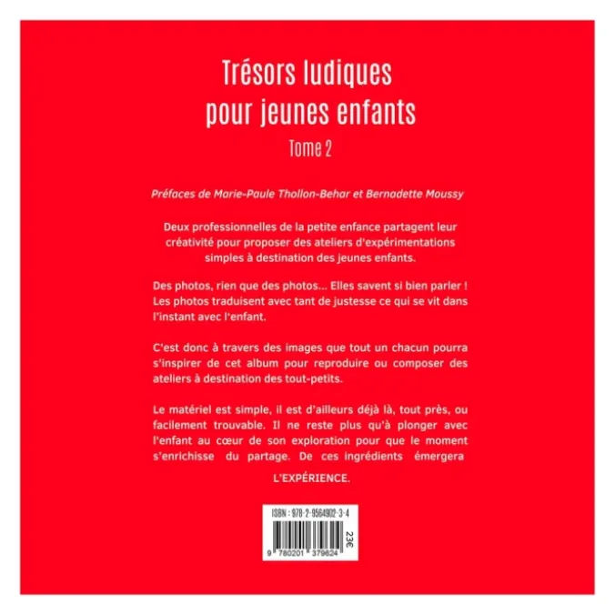 Trésors ludiques pour jeunes enfants - Tome 2