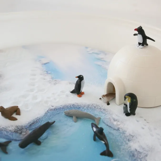 Univers des glaces - Bac d'exploration rond
